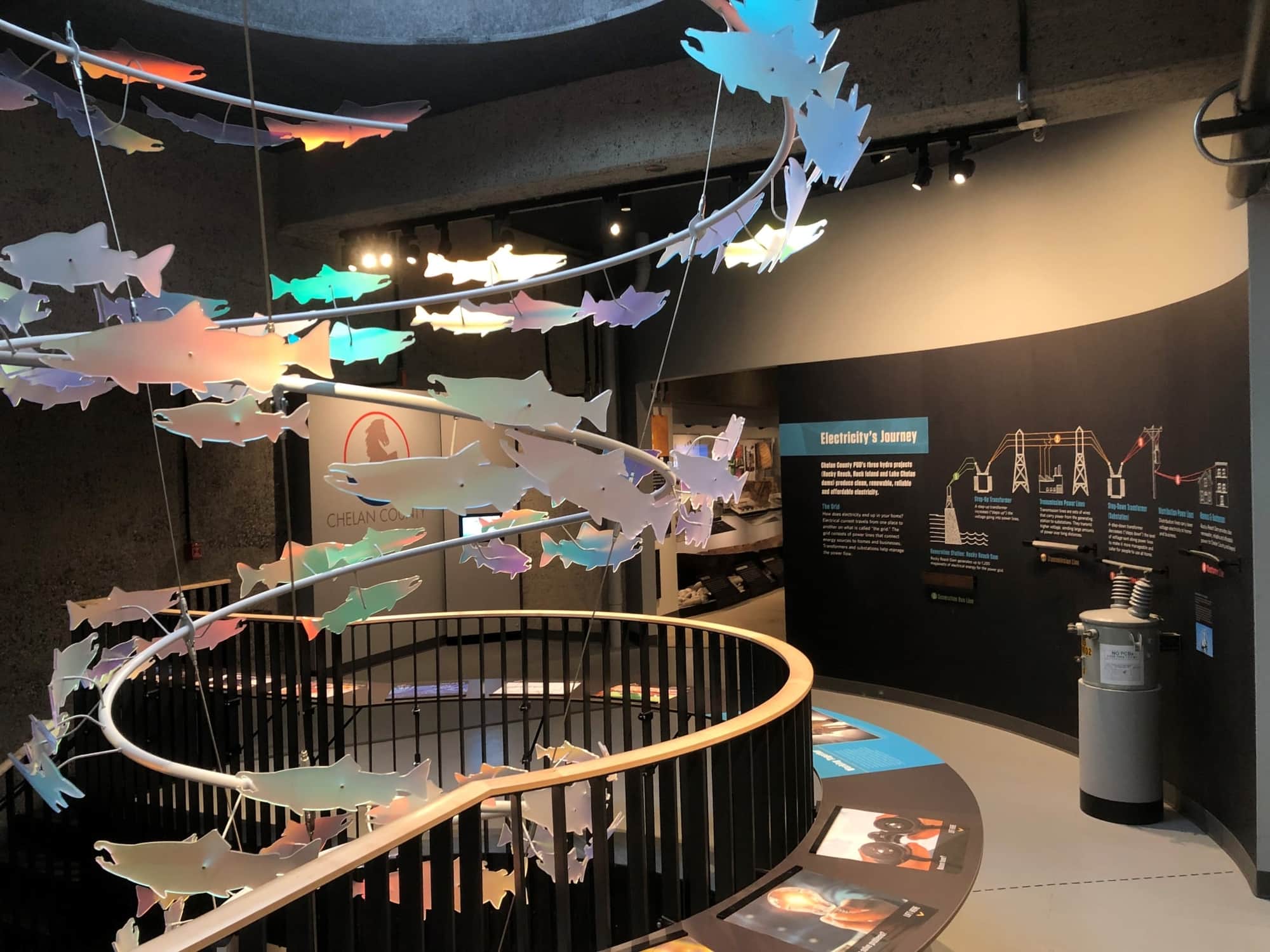 Fish ladder viewing window at the Rocky Reach Discovery Center in Wenatchee, watching salmon swim upstream along the Columbia River.