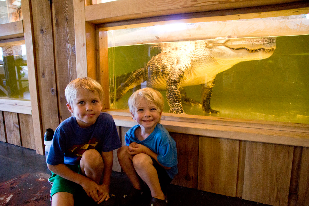 Two children stand smiling in front of an alligator tank at the Reptile Zoo in Monroe.