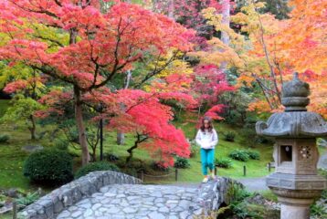 Brilliant red and orange maple leaves line a trail at the Washington Park Arboretum in Seattle during peak fall colors in Seattle 2025