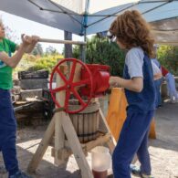 Seattle fruit harvest volunteer program