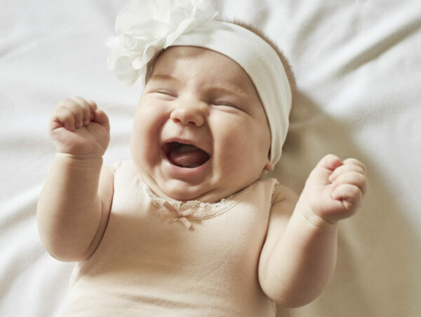 Washington Political News for Families: Key updates this week giggles